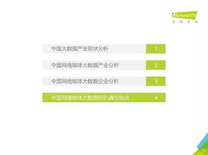 2016年中國數據驅動型互聯(lián)網企業(yè)大數據產品研究報告 工業(yè)互聯(lián)網數據服務的關鍵態(tài)勢與啟示